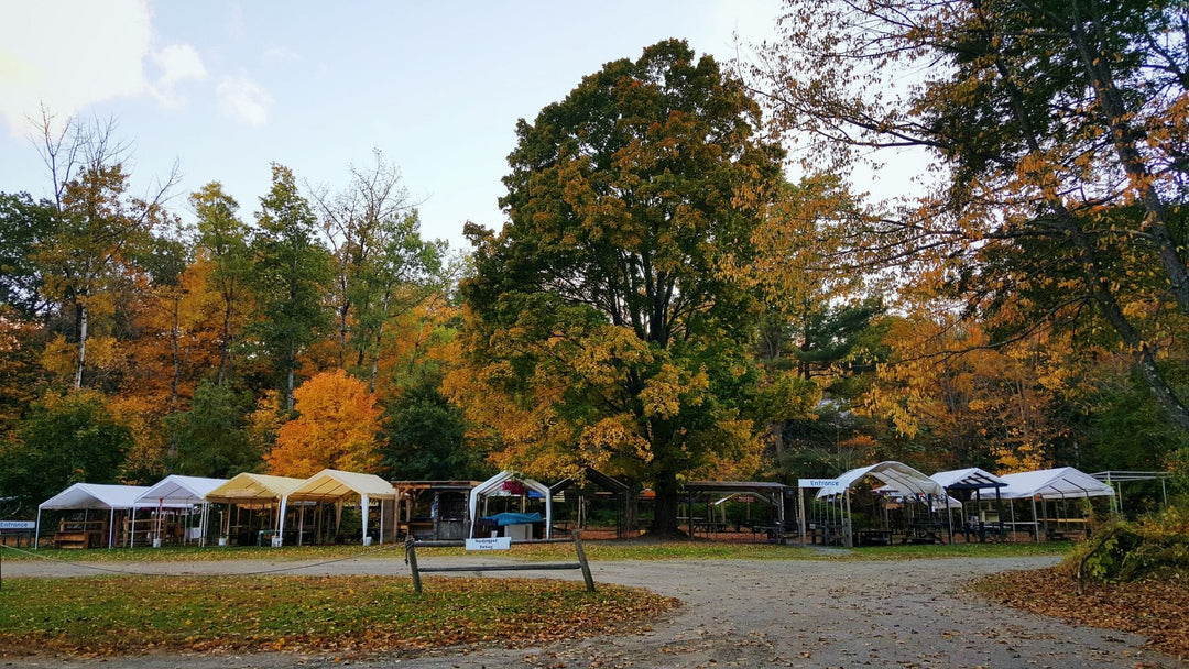 Brattleboro Farmers Market 2015-10-15 12.10.10 1
