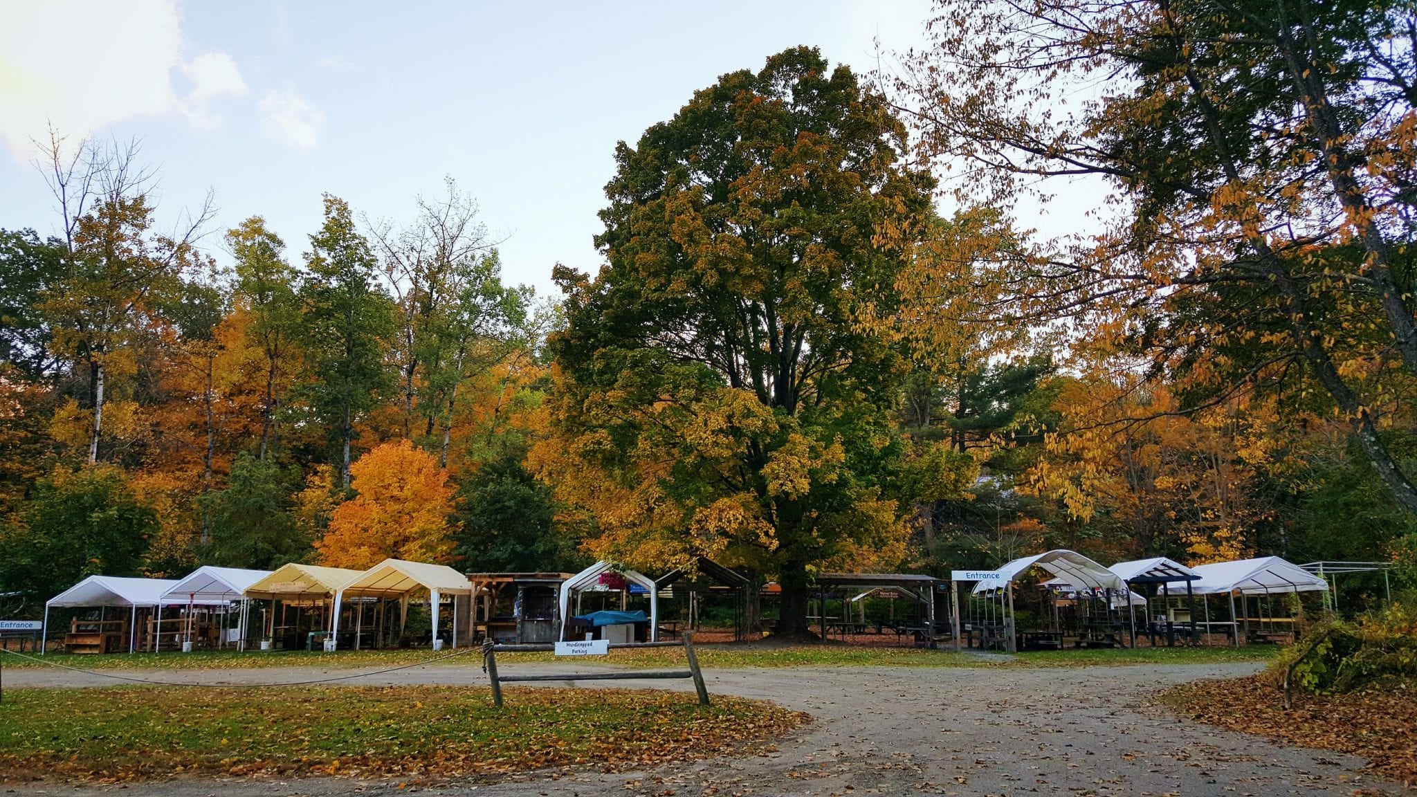Brattleboro Farmers Market 2015-10-15 12.10.10 1