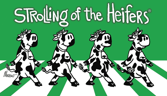 strollingoftheheifers